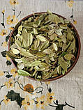 Листя брусниці 500 г, фото 2