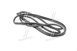 Ущільнювач Daewoo matiz передніх правих дверей (General Motors)