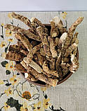 Аїр корінь 50 г, фото 2