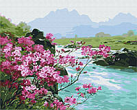 Картина Рисование по номерам Горные цветы Пейзаж 40х50 см Brushme BS51394
