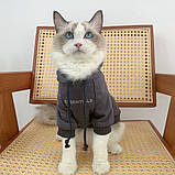 Худі для собак та кішок Essentials з капюшоном, фото 8