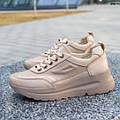Шкіряні жіночі кросівки темно-бежевого кольору, фото 5