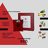 Ароматизатор у машину Hurricane RED Standart, фото 5