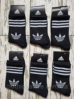 Adidas 36 40 6 ID 1806809374 230 Prom.ua