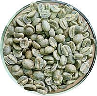 Кофе в зернах. Зеленый. Необжареный. Арабика Индия Плантейшн АА - мешок 60 кг