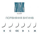 Вії чорні 20 ліній VIYA вигин C 0,07 mix (4-7), фото 2