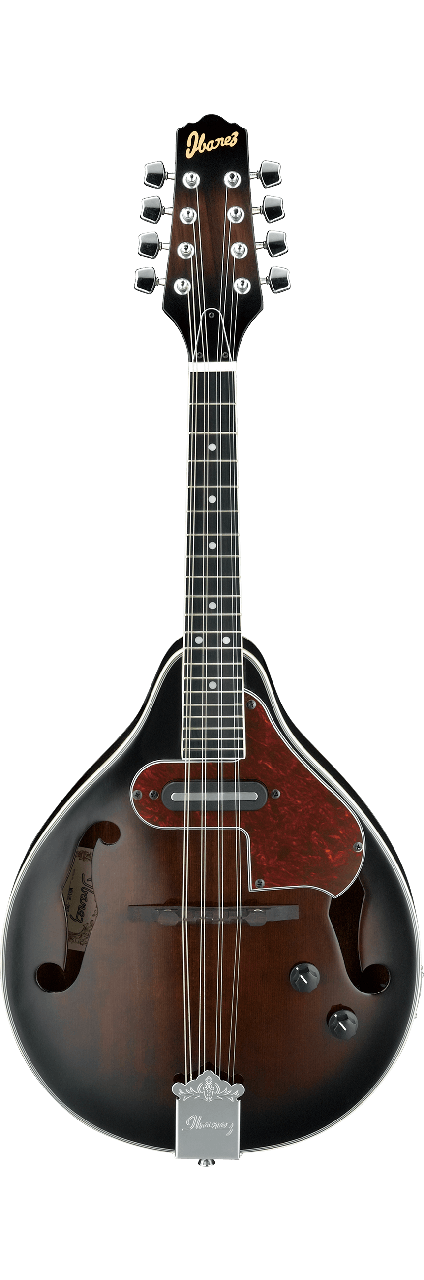 Мандоліна Ibanez M510E-DVS, фото 1