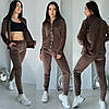 Повсякденний жіночий велюровий костюм кофта на блискавці та штани Da5392, фото 8