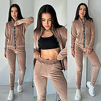 Повсякденний жіночий велюровий костюм кофта на блискавці та штани Da5392, фото 4
