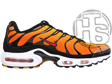 Чоловічі кросівки Nike Air Max TN Plus Sunset Orange 604133-886, фото 1