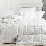 Ковдра TM Ideia двоспальна 4 Seasons ЗИМА - ЛІТО антиалергенна тепла 175*210 см троянди, фото 3