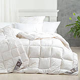 Ковдра TM Ideia двоспальна 4 Seasons ЗИМА - ЛІТО антиалергенна тепла 175*210 см троянди, фото 6