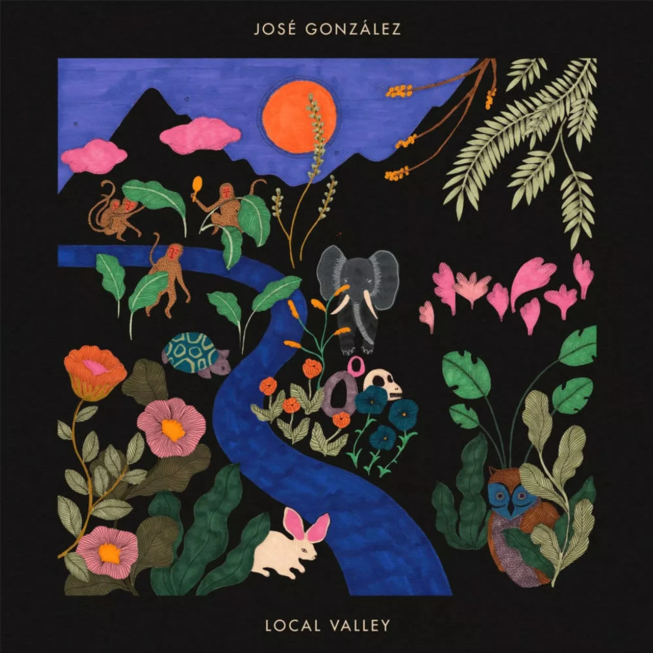 Вінілова пластинка "Local Valley" від José González — 1LP