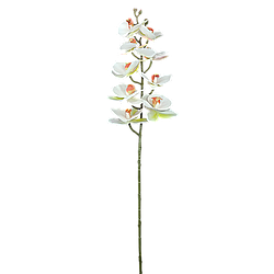 Квітка штучна Орхідея, білий, FL-1008
