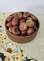 Каштан кінський плоди (Aesculi hippocastani fructus) 100 г