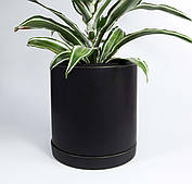 Горщик для квітів керамічний Цикорій 15 л Чорний мат Rezon Р306