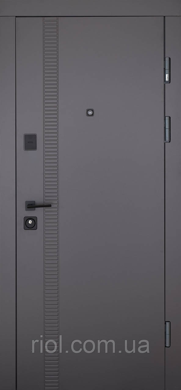 Вхідні двері модель Rail (Колір Кварцит + Рустик Авіньйон) комплектація Classic, фото 1