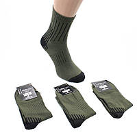 Мужские военные тактические носки Упаковка 12 пар 41-45 Армейские демисезонные носки Хлопок ХБ Олива Хаки