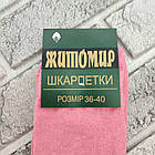 Шкарпетки жіночі високі весна/осінь р.36-40 кольорове асорті ЖИТОМИР ДУКАТ 30037621, фото 3