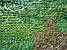 Камуфляжна маскувальна сітка серія Pro Camo, 1,5*6м, темно - зелений - коричневий, фото 7