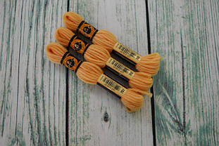 Муліне DMC Colbert вовна №702