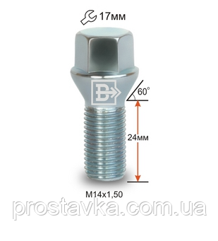 Болт C17D24 Z M14X1.50X24 Цинк Конус з виступом ключ 17 мм