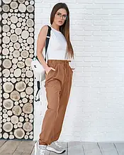 Штани ISSA PLUS 11753 L коричневий