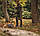Граблі для листя Fiskars Solid M (1063090), фото 5