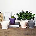 Горщик вазонок для квітів 0,4 л, h-8,5 см, d-11 см сукулентів "Чотирикутний" білий, фото 2