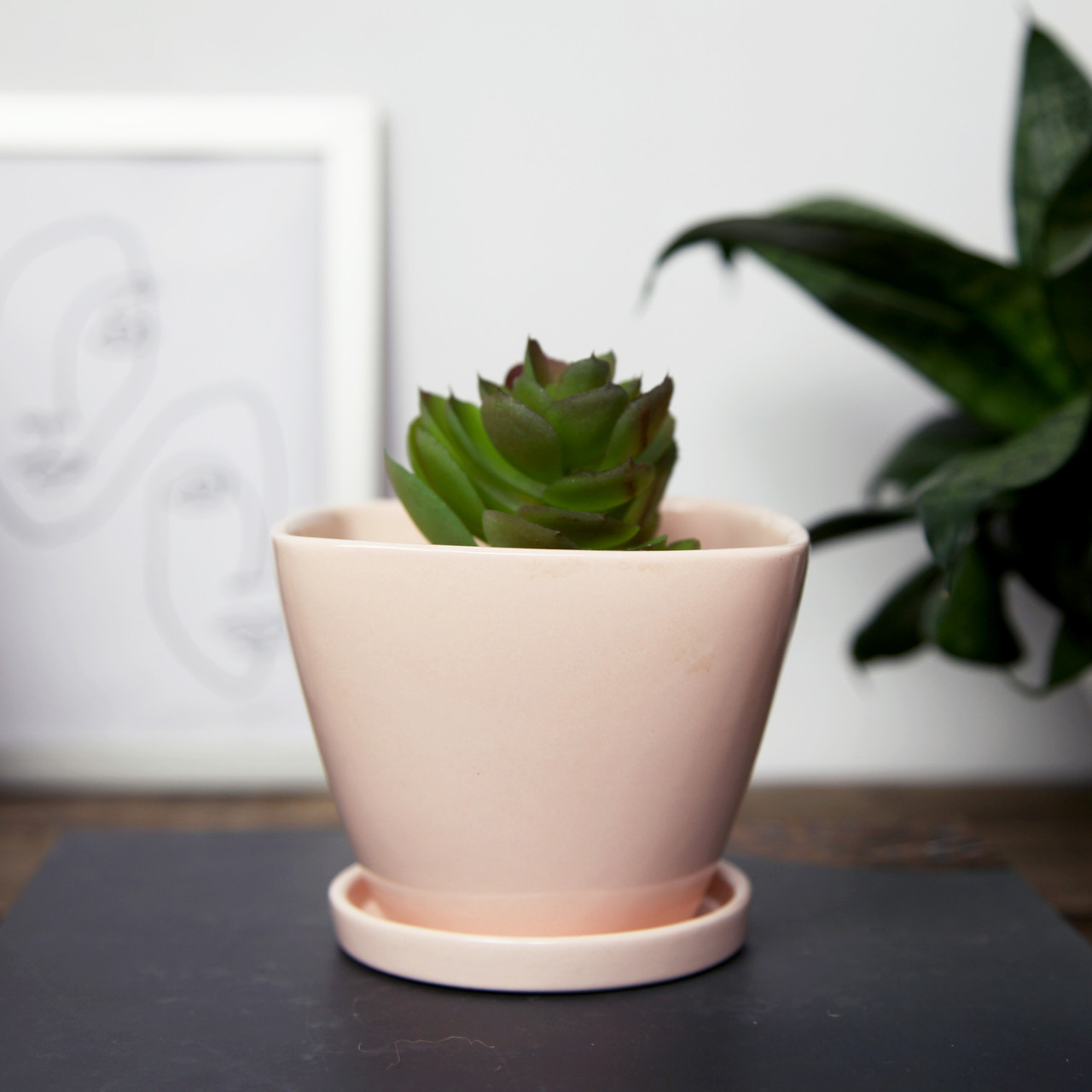 Горщик вазонок для квітів 0,4 л, h-8,5 см, d-11 см сукулентів "Чотирикутний" беж, фото 1