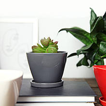 Горщик вазонок для квітів 0,4 л, h-8,5 см, d-11 см сукулентів "Чотирикутний" сірий