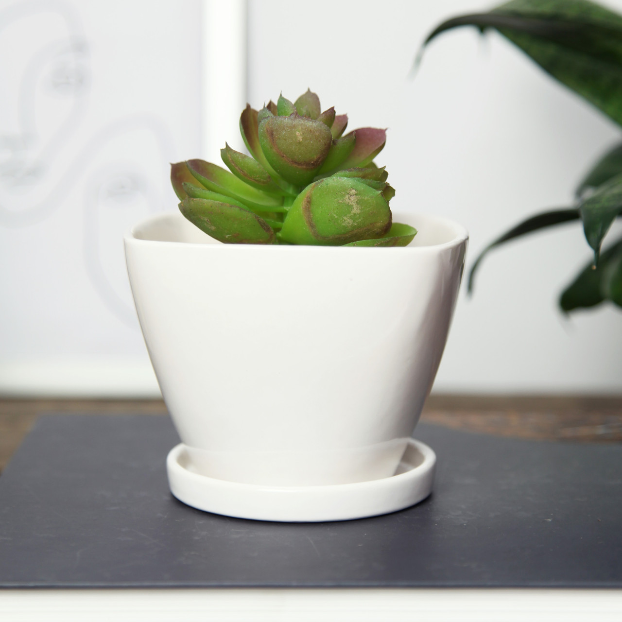 Горщик вазонок для квітів 0,4 л, h-8,5 см, d-11 см сукулентів "Чотирикутний" білий, фото 1