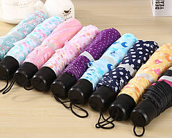 Парасолька 5 кольорів