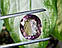 Шикарний аметрин високої якості 17.11 ct 18.4x16x9.4 mm., фото 6