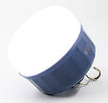 Світильник з LED лампою і USB інтерфейсом для під'єднання/заряджання, 5V, 60 W (LED-ULR-5V60W), фото 2