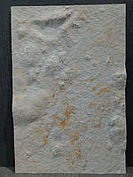Каменный шпон Atlantic 122*61см