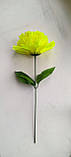 Одинична шикарна Троянда розкрита 30 см, фото 4