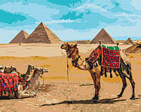 Картина по номерам Египетский колорит (BS52718) 40 х 50 см (Без коробки)