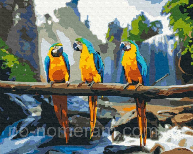 Акційна Картина за номерами BrushMe Тропічні ара (BS25500) 40 х 50 см, фото 1