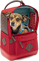 New Packaging For pets up to 15 lbs (Nomad) Red Kurgo G-Train - Рюкзак-переноска для собак для мелких дом