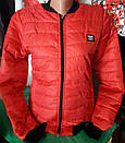 Модна молодіжна жіноча Куртка бомбер демісезон (42-44-46), доставка по Україні Укрпошта, НП, Джастин, фото 2