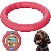 Игровое кольцо (17 см) для средних и крупных пород собак, PitchDog17 / Круг для тренировки собак