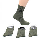 Чоловічі демісезонні шкарпетки бавовна Повсякденні тактичні шкарпетки хакі від виробника 41-45, фото 2