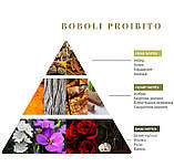 Аромадифузор Logevy Firenze 500 ML Boboli Proibito (Заборонений сад Боболі), фото 3