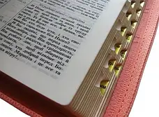 Укр. Біблія малого формату Огієнко (світло-рожева, шкірзам, золото, індекси, блискавка, 13х19), фото 5