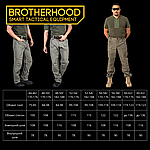 Штани тактичні військові для ЗСУ Brotherhood UTP 2.0 ріп-стоп мультикам, фото 10