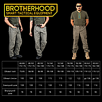 Штани тактичні військові для ЗСУ Brotherhood UTP 2.0 ріп-стоп мультикам, фото 11
