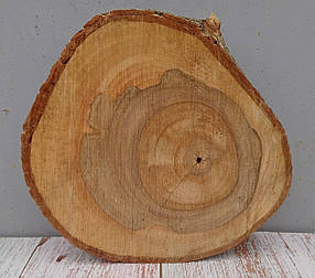 Зріз дерева для рукоділля та творчості (не оброблений) сухий d 23х24см