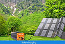 Портативна зарядна електростанція LiFePo4 300w 220v, фото 11