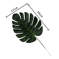 Лист монстери, 17х20 см (M)